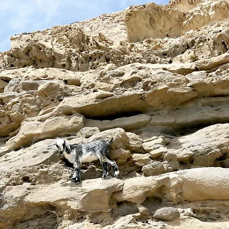 Alex's House דירה *