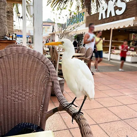 Alex's House * コスタ・カルマ