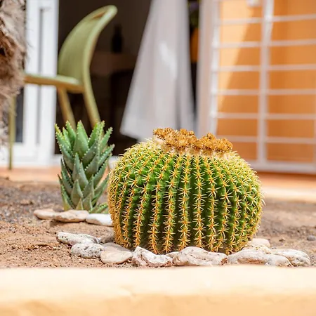 Alex's House コスタ・カルマ