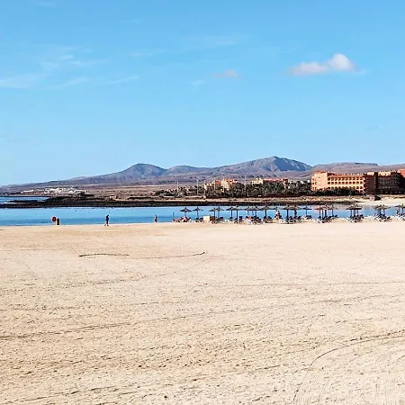 Alex's House コスタ・カルマ