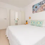 Alex's House