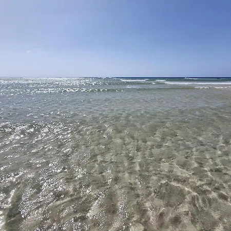 Daire Alex's House *