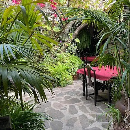 Alex's House Lägenhet *