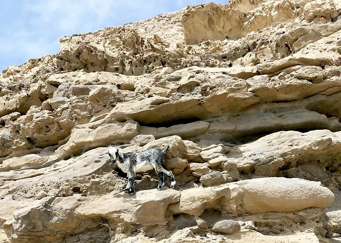 Alex's House Appartement *