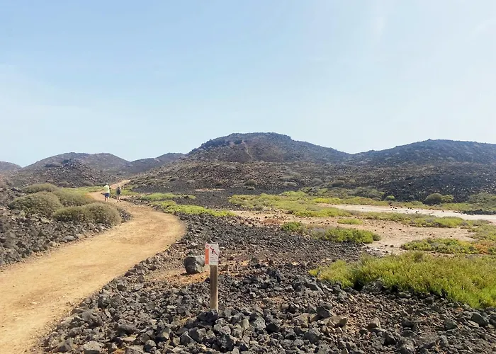 Alex's House Appartement