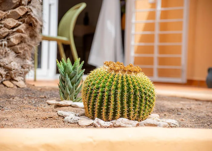 Alex's House Appartement Costa Calma